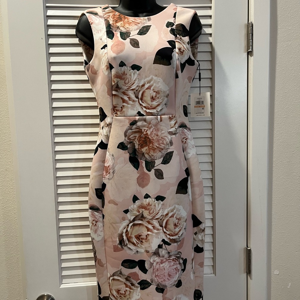 Sleeveless Blush Floral Sheath Dress